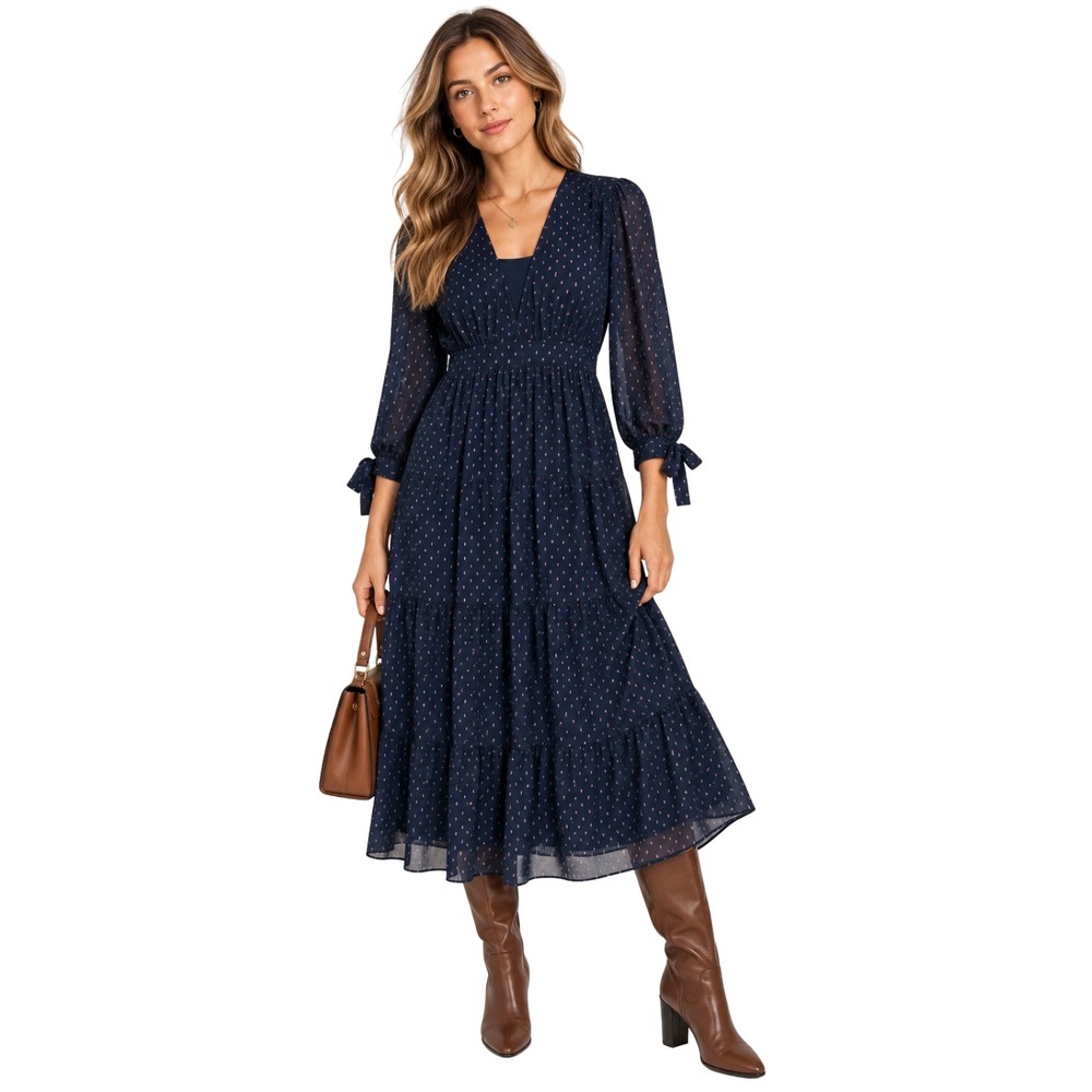 Madewell Dress Womens Size 4 Blue Pink Midi Tiered Dot Print A-Line Sheer Preppy